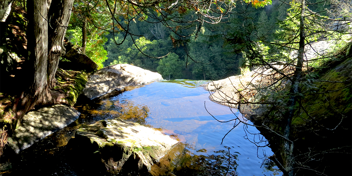 OK Slip Falls