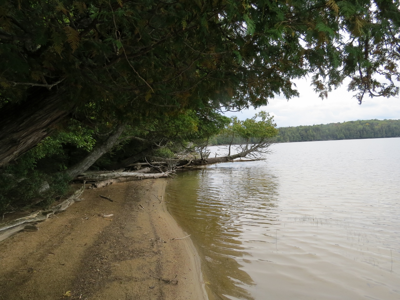 Sandy beach at the camp site on McRorie Lake