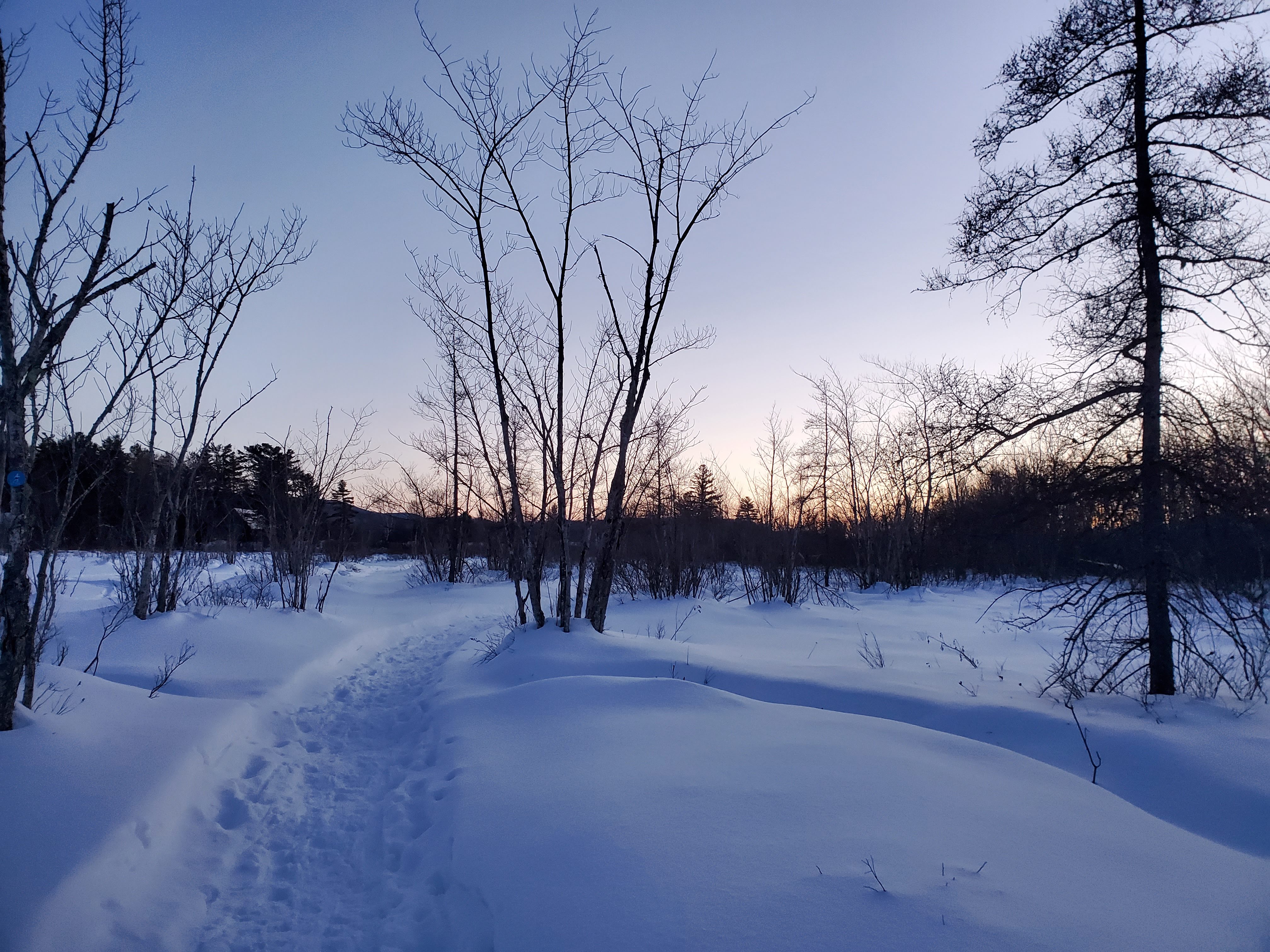 Speculator Cross Country Ski Trail