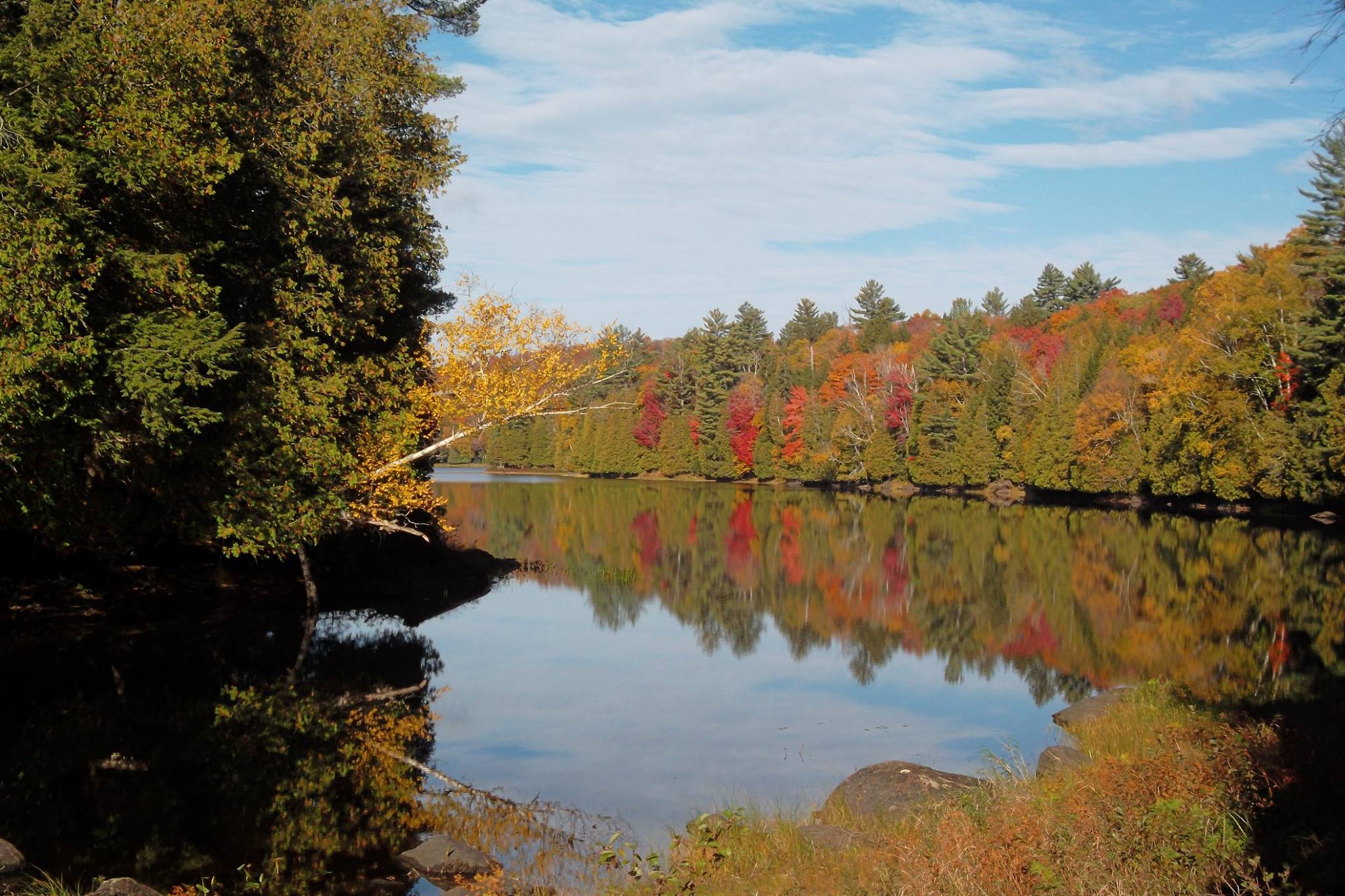 This lovely shoreline along Rich Lake shows a great mix of trees.