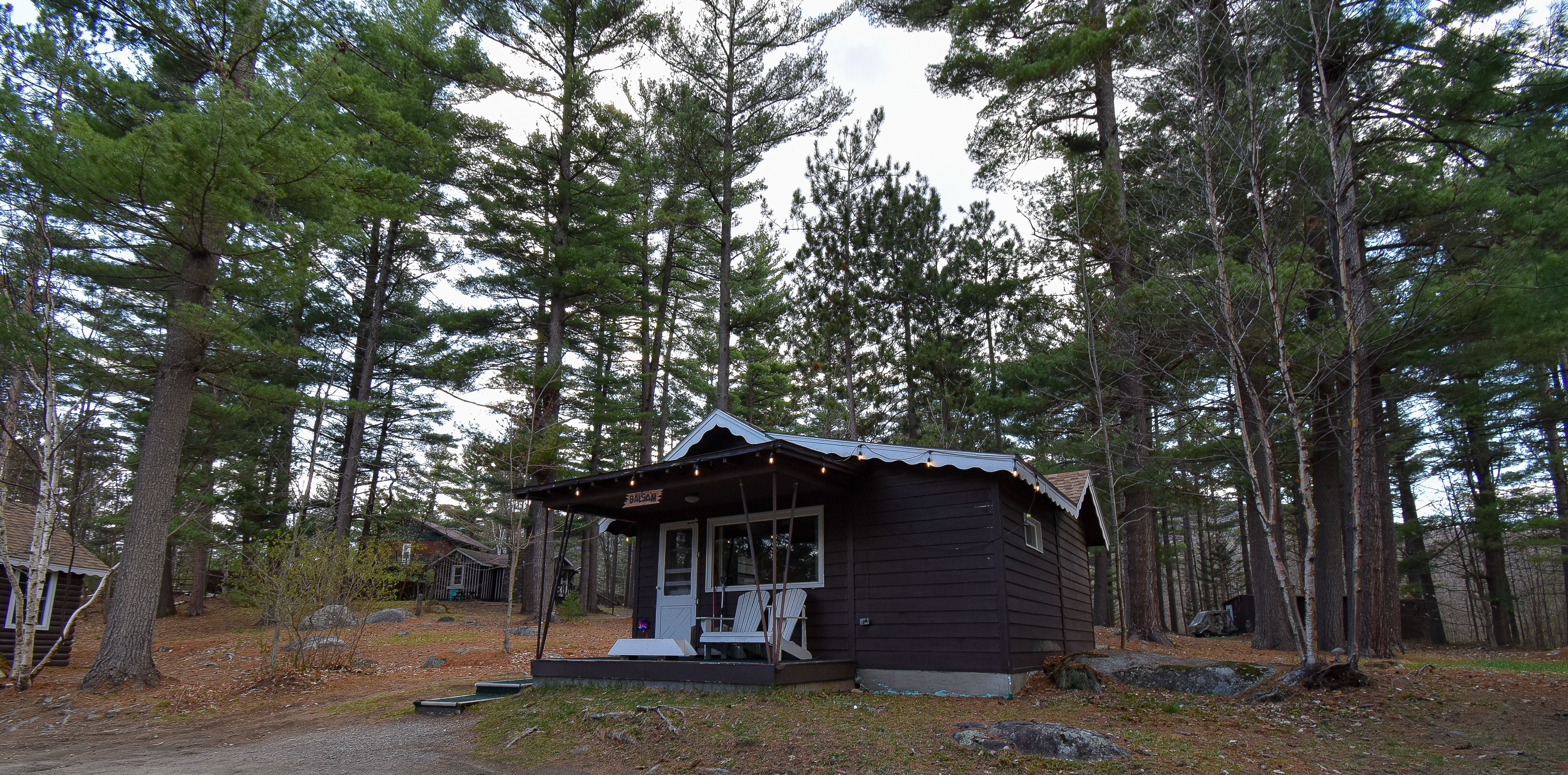 A cabin at the Wilderness Inn, with pine trees towering above.