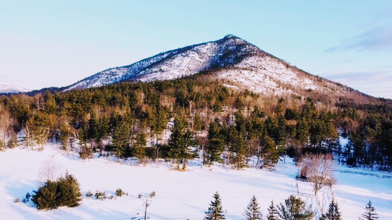 A winter outdoor view of part of the New Vida property