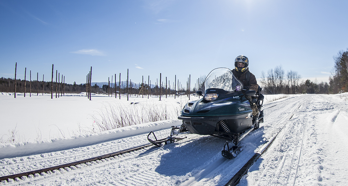 A man snowmobiles on a bright sunny day on soft powdery snow.