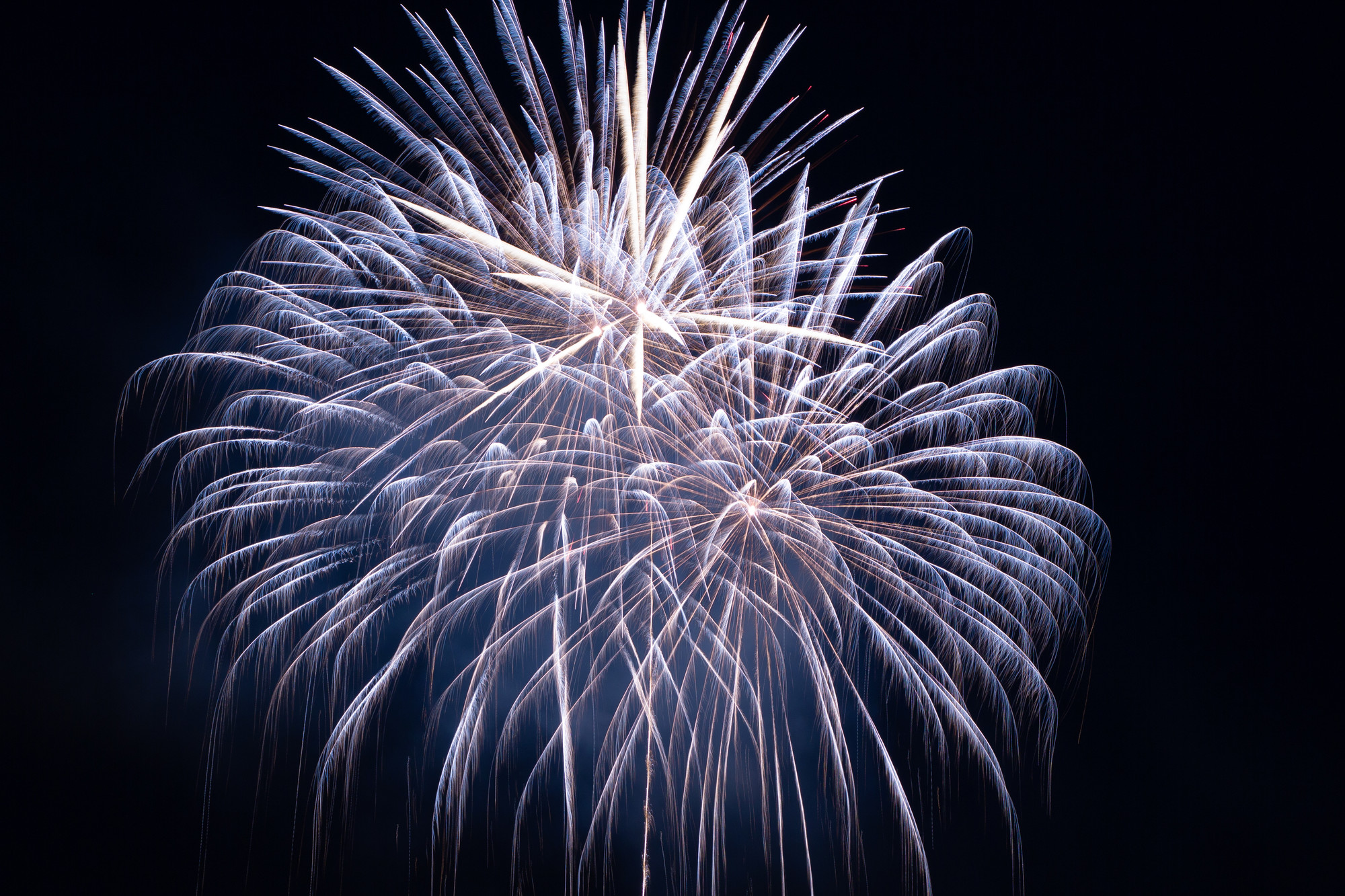 A firework sparkles against the night sky.