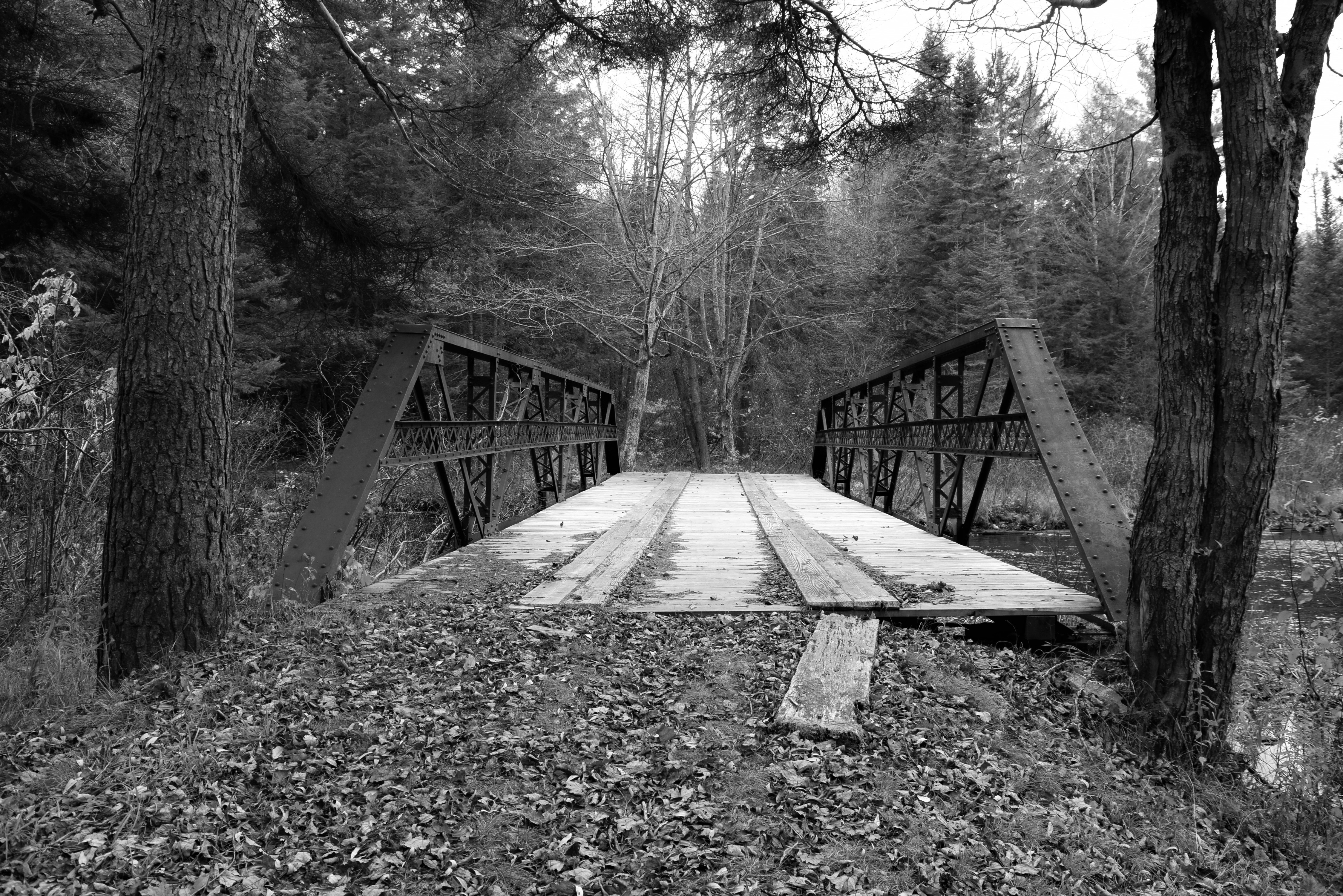 Jasper Day bridge