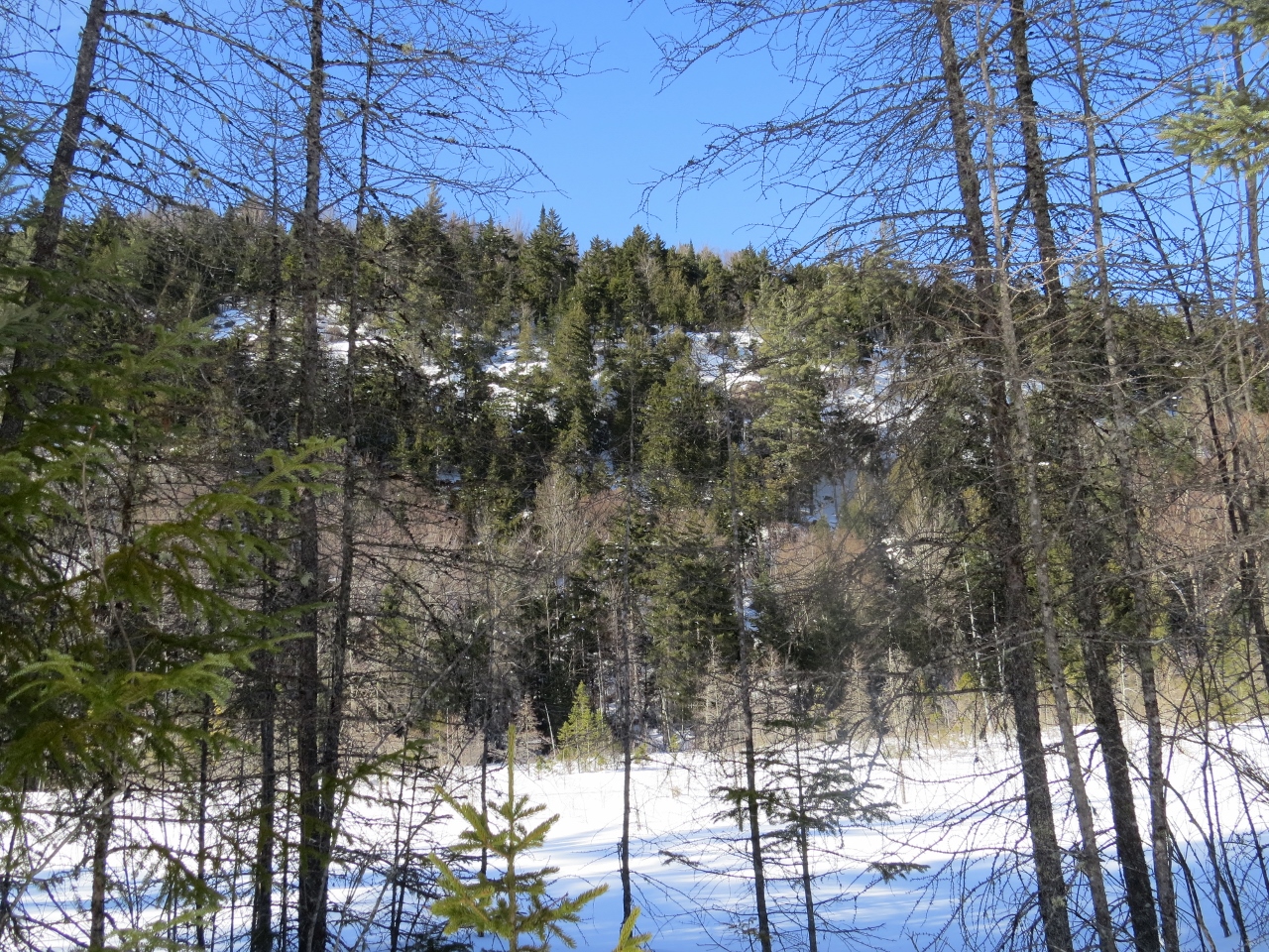 Cliffs along the trail