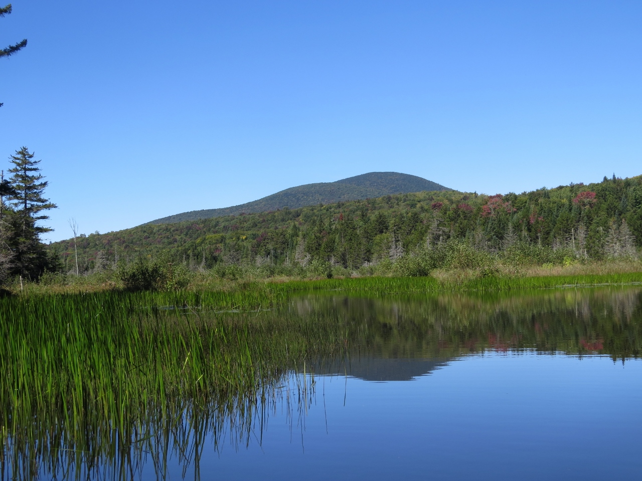 Kempshall Mountain from Fishing Brook