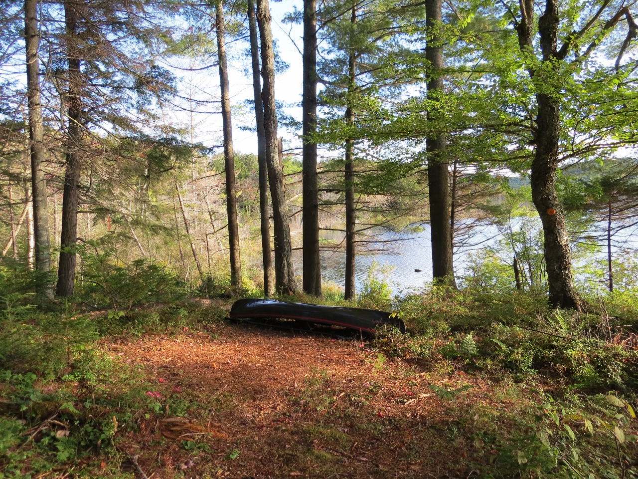 Sixth Lake campsite