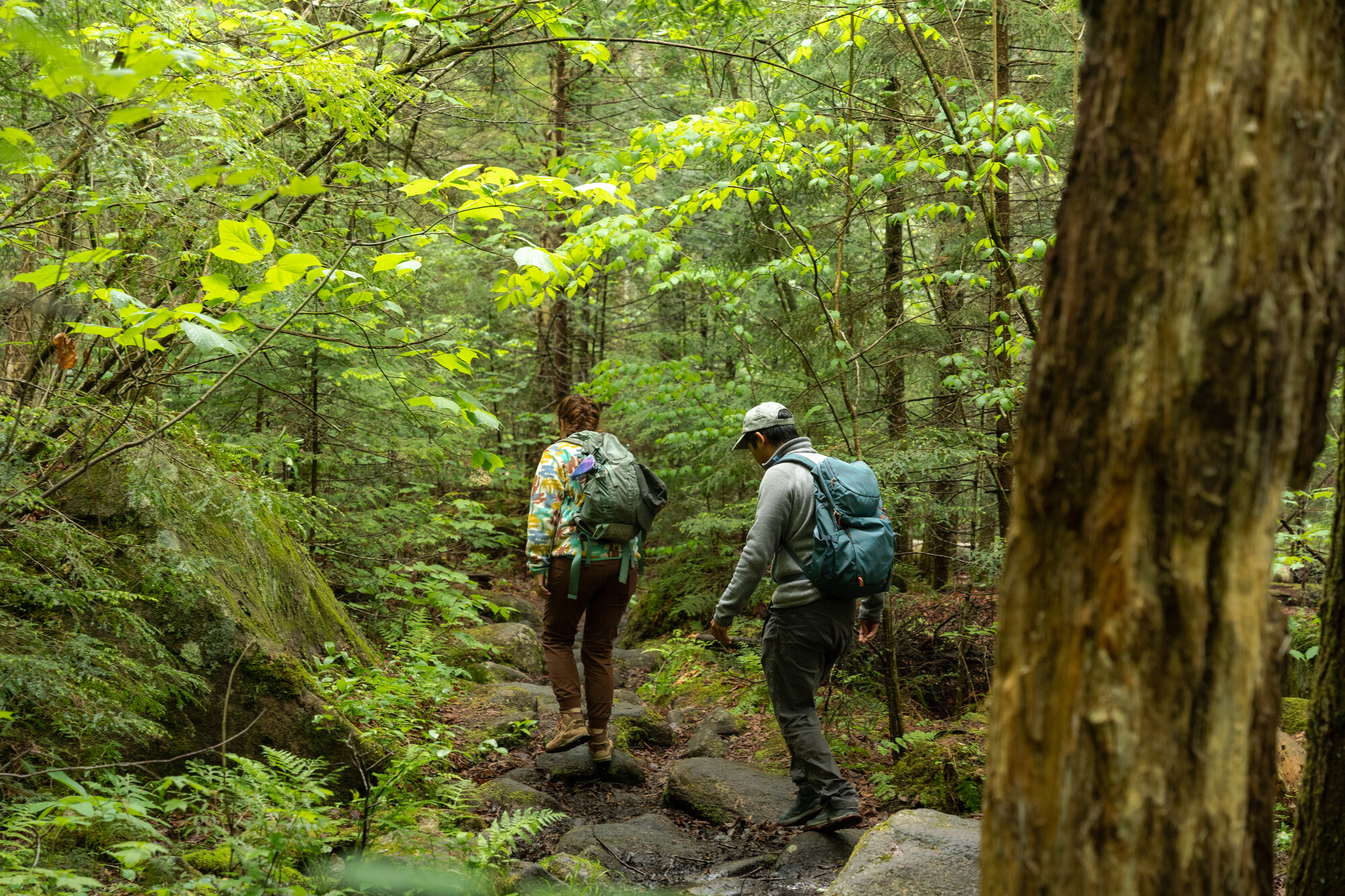 Two people in long sleeve pants and tops with backpacks hike away from camera on forested trail