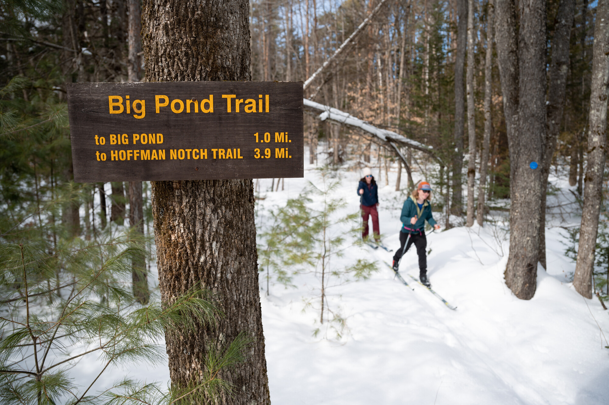 Skiers heading past a sign