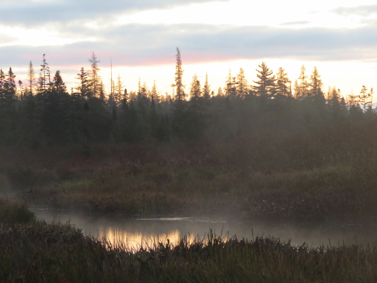 Lake Lila mist over Shingle Shanty Brook