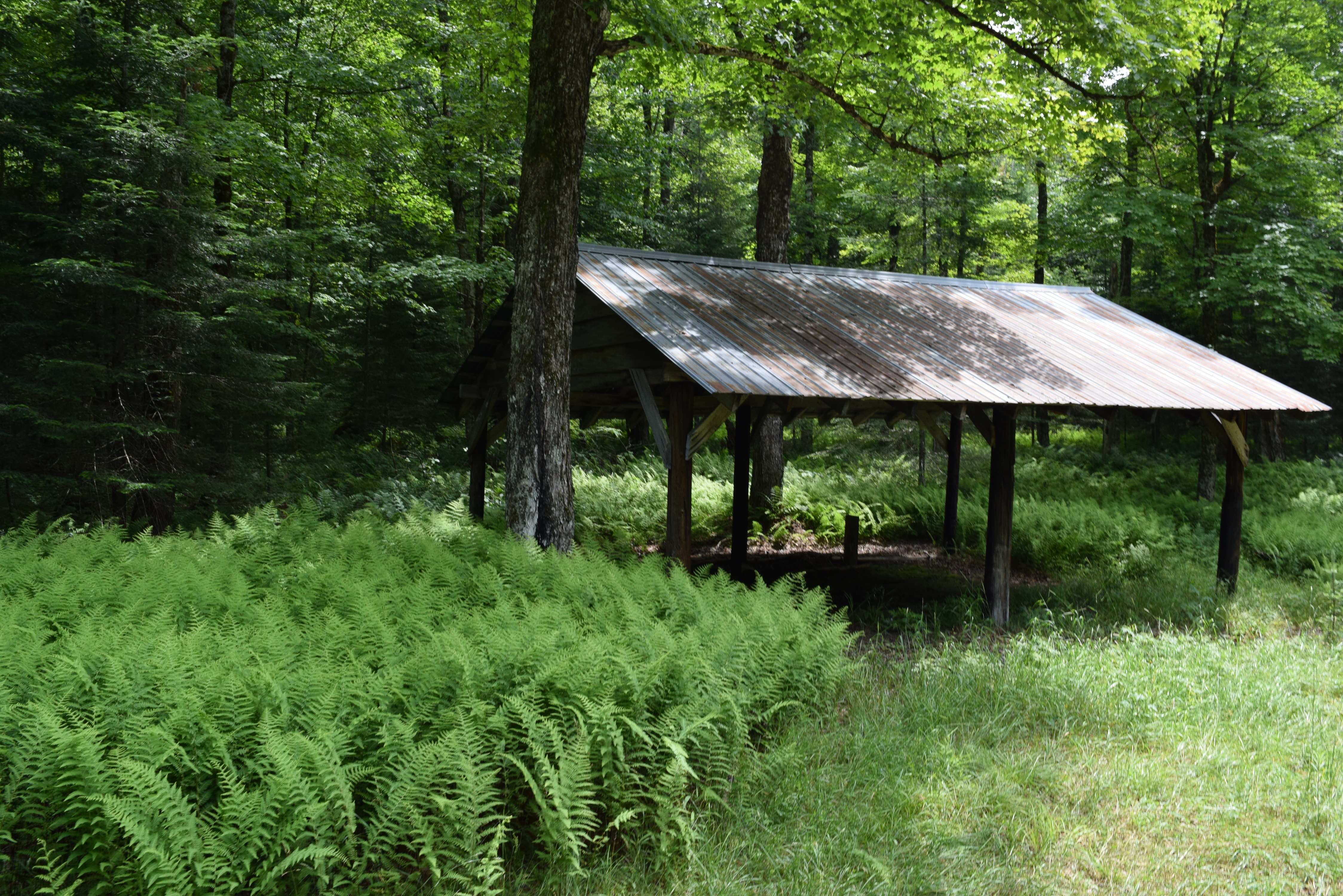 Adirondack Saddle Tours Inlet 