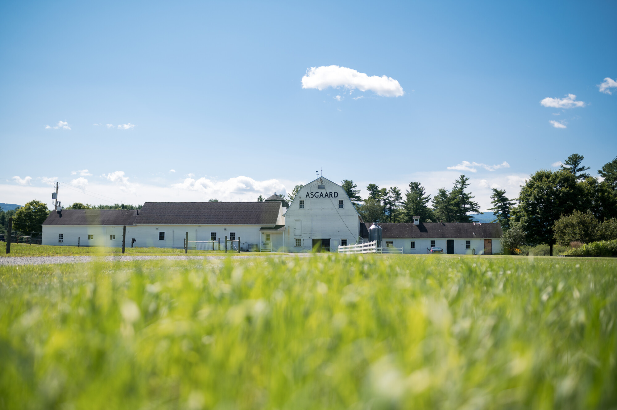 Asgaard Farm barn seen from green field
