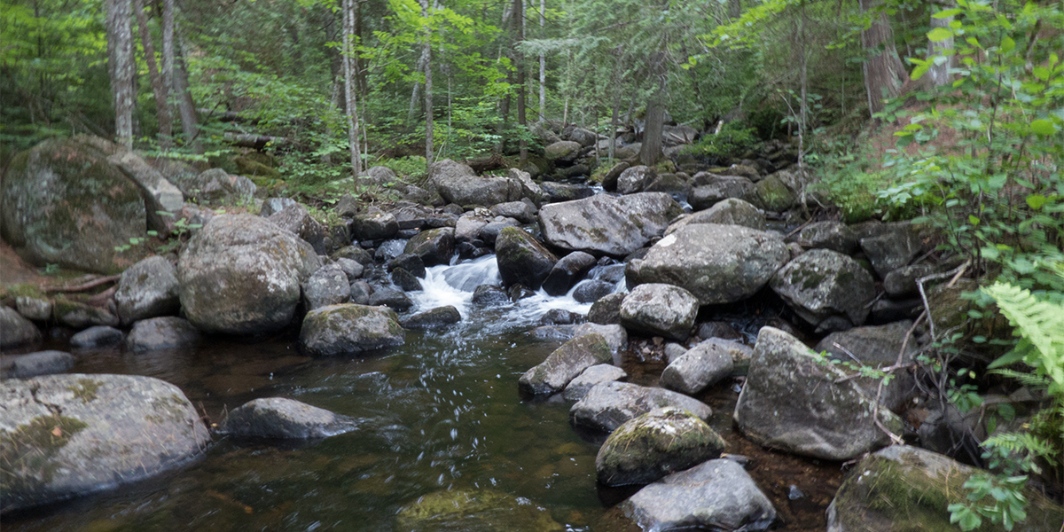 OK Slip River as it meets the Hudson River