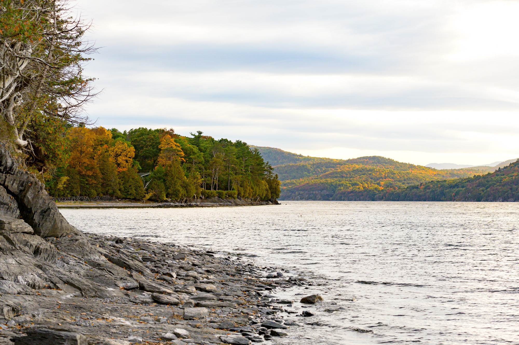Lake Champlain shoreline in fall.