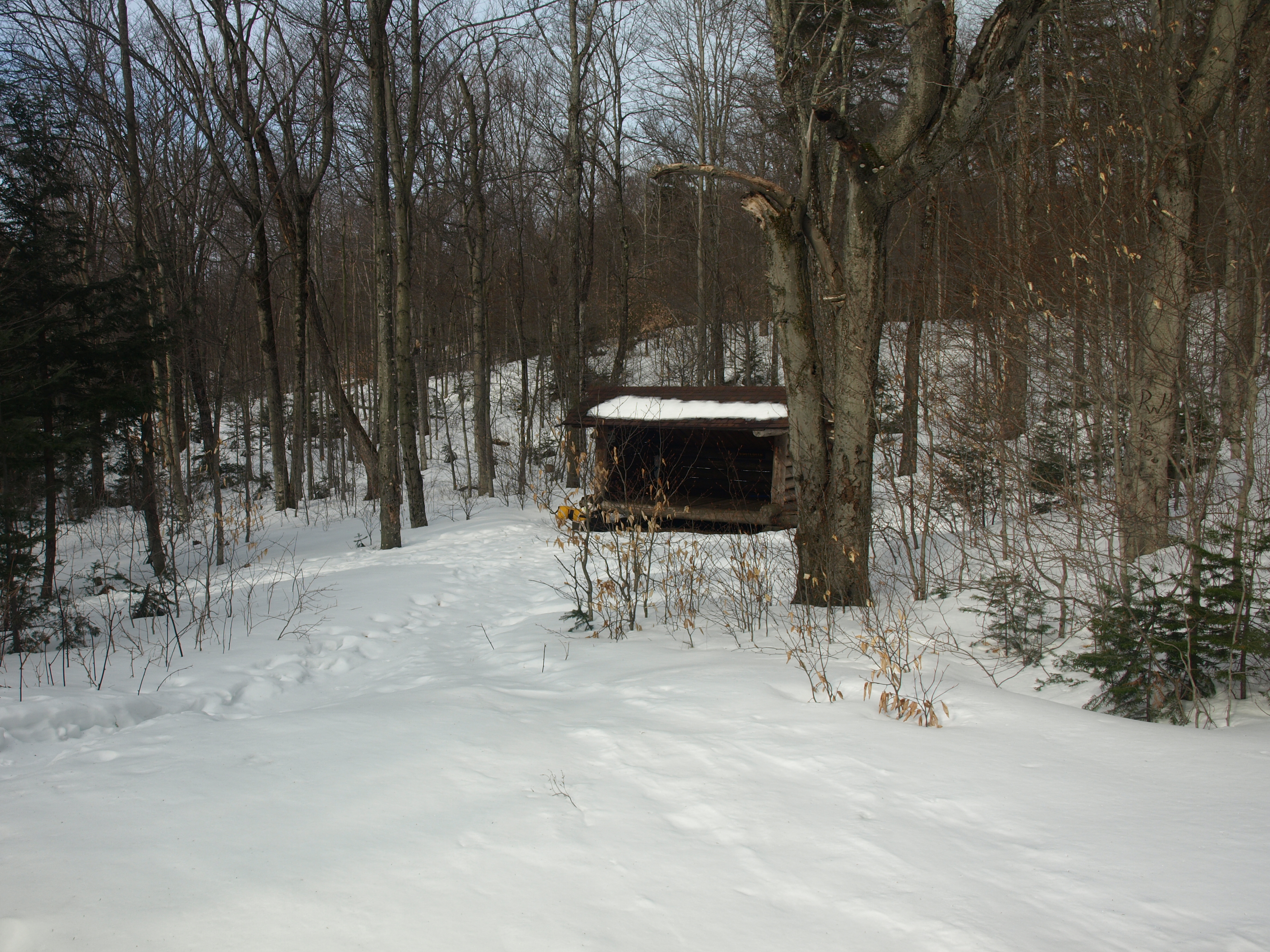 Puffer Pond Lean-to