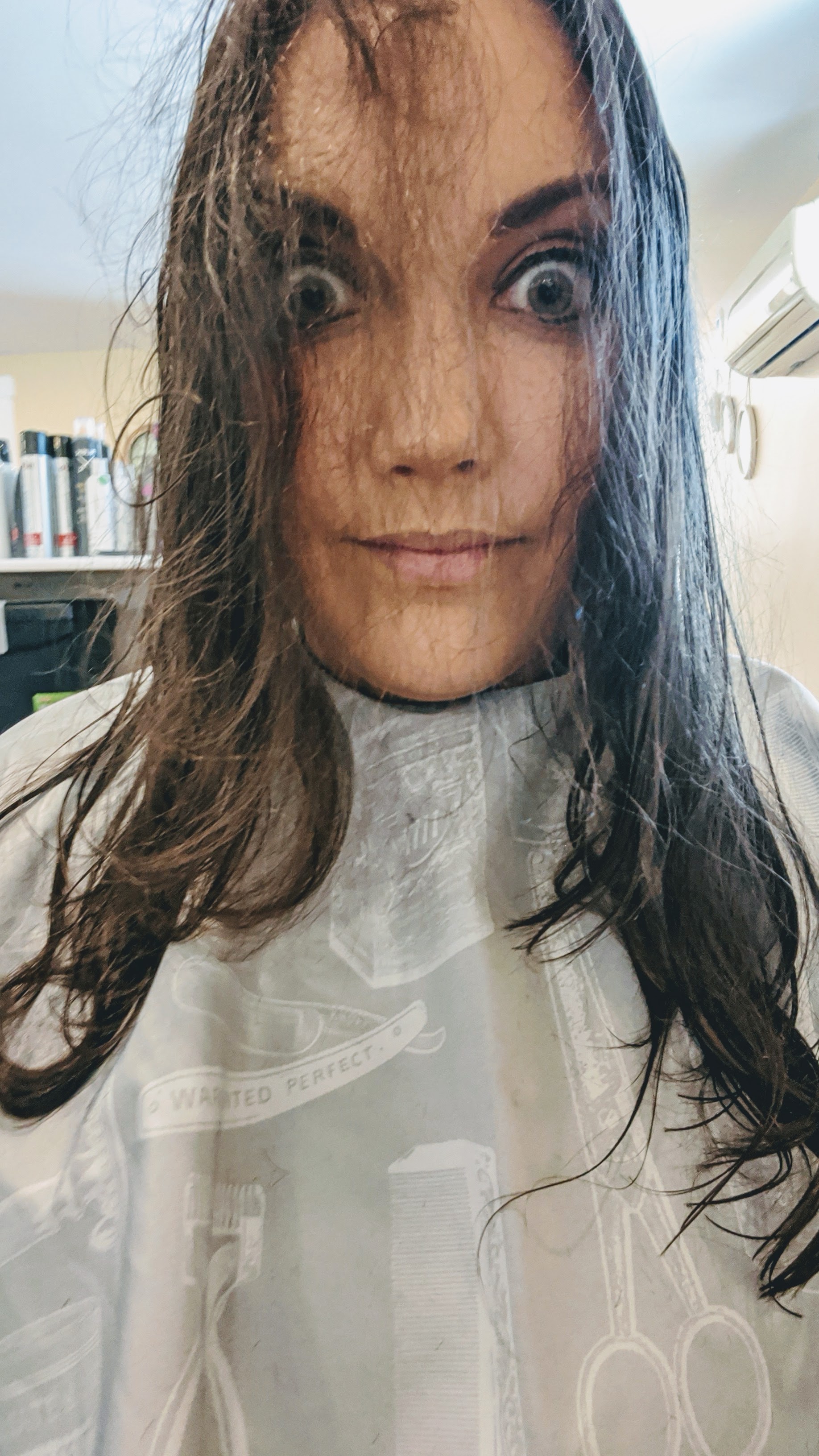 A woman about to get her hair cut smiles from the hairdresser's chair