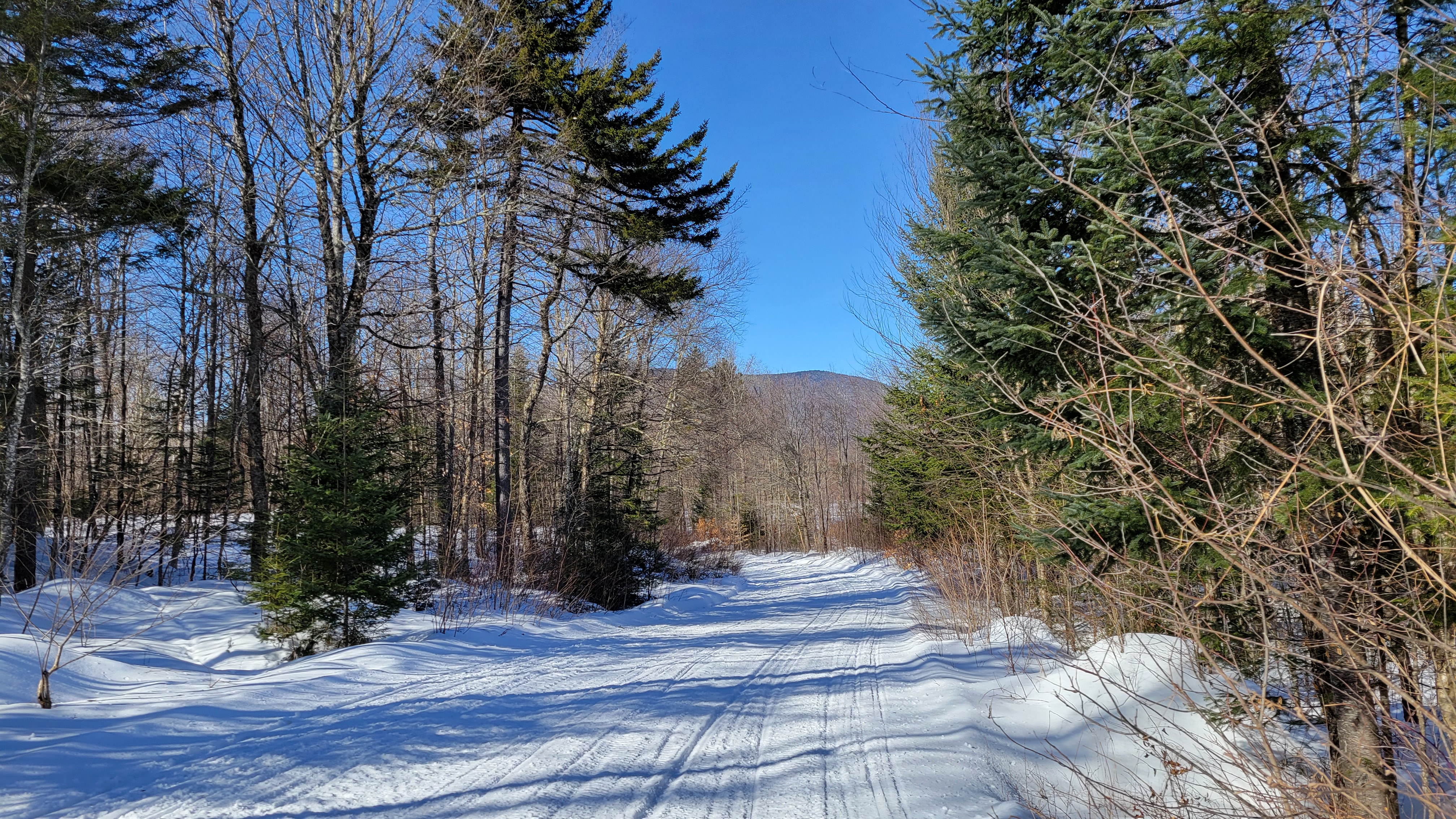 Gentle downhill snowy slope with Pillsbury Mountain in the background.