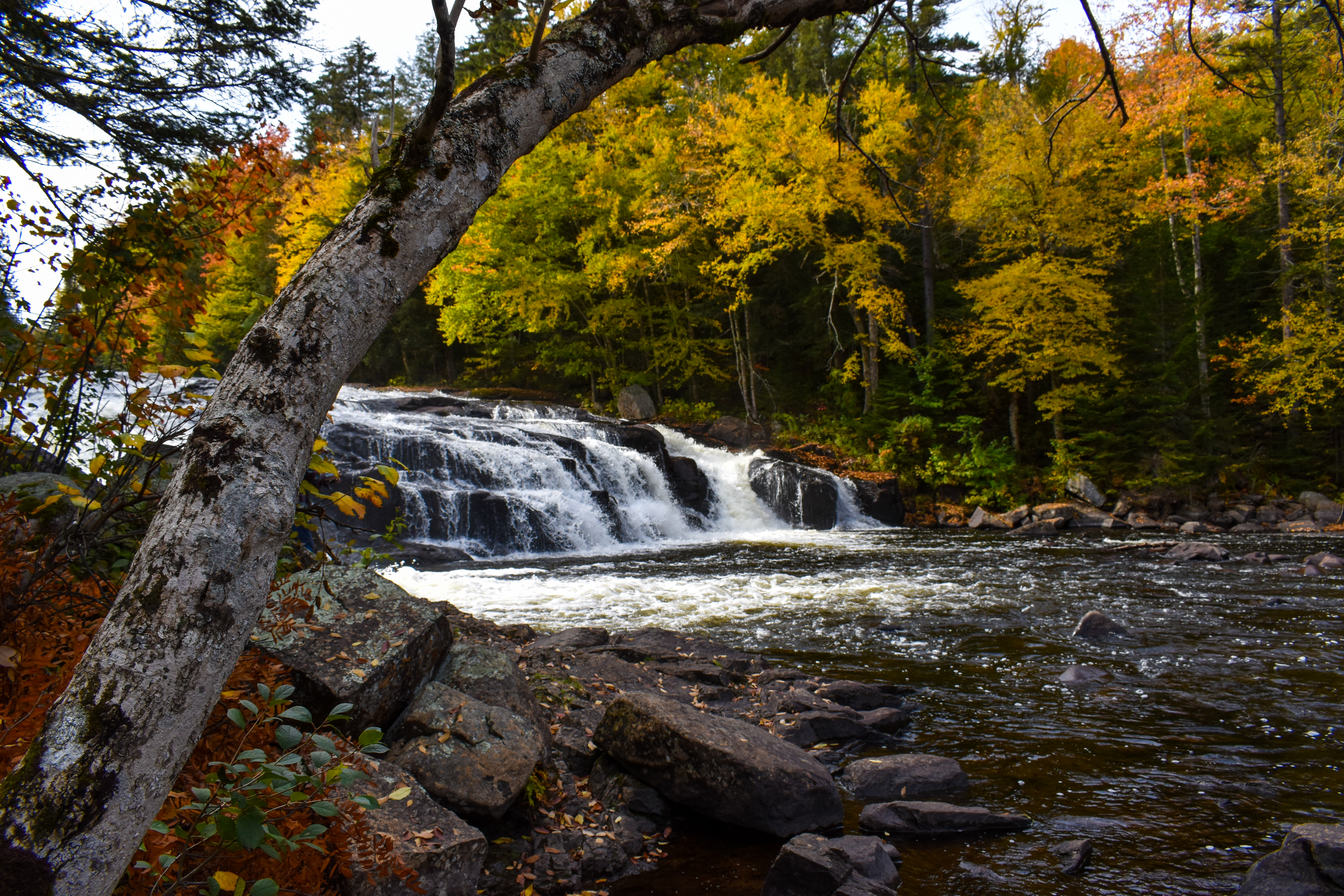 Fall foliage next to a short, cascading waterfall. 