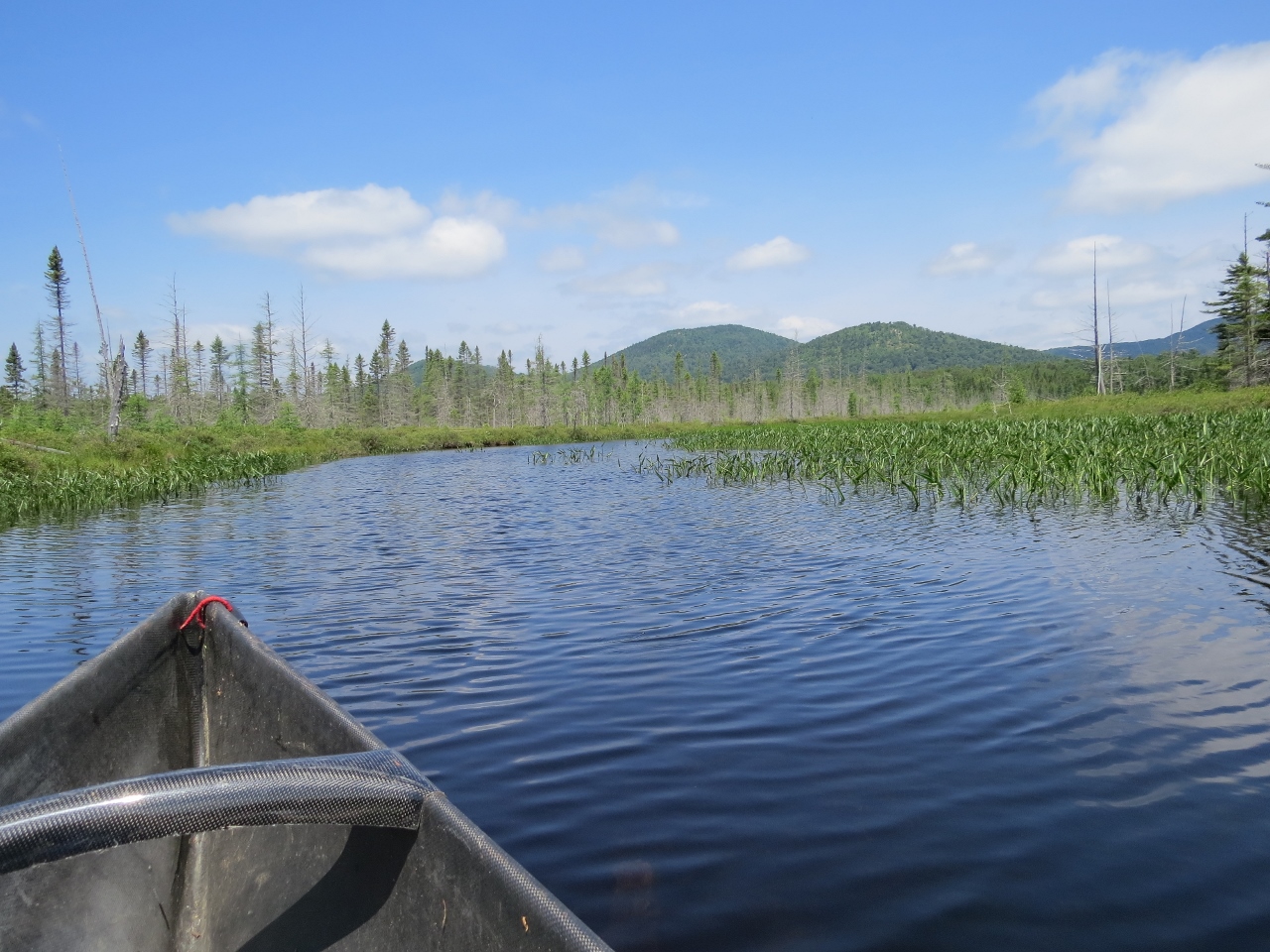 Paddling the inlet of Mud Pond at Cedarlands