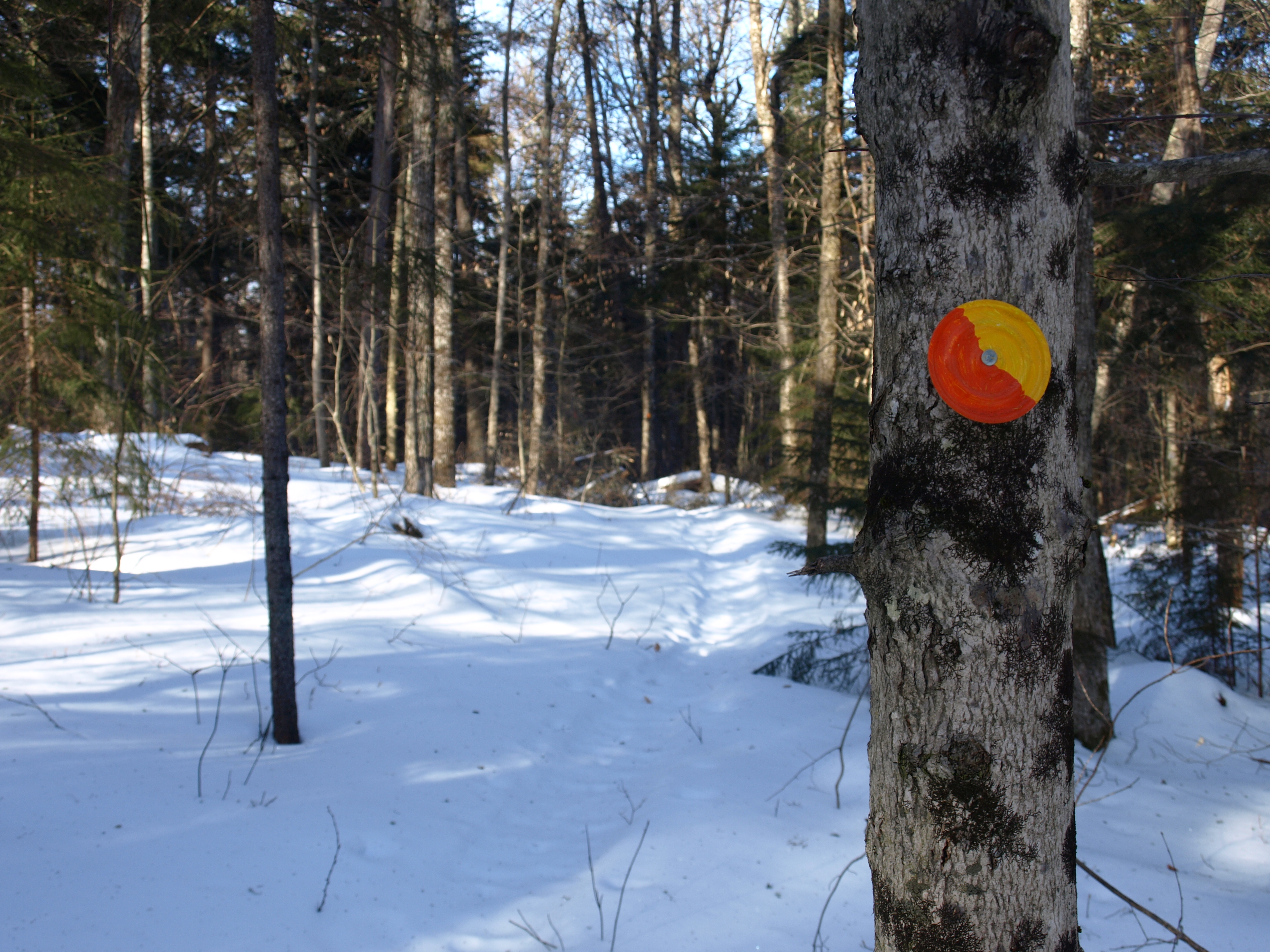 Trail Marker