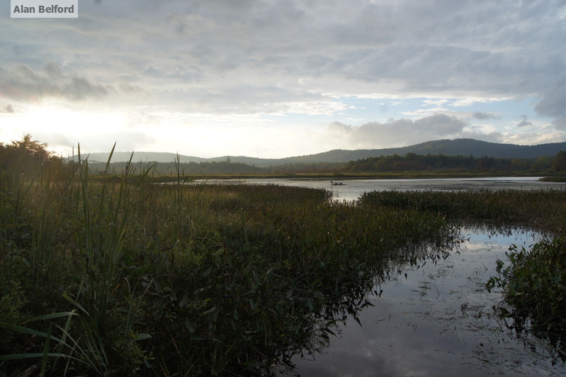 The marsh is simply beautiful - with loads of places to explore.