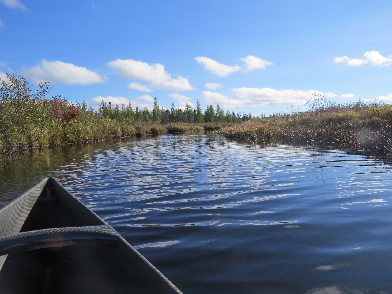 Lake Lila - Shingle Shanty Brook