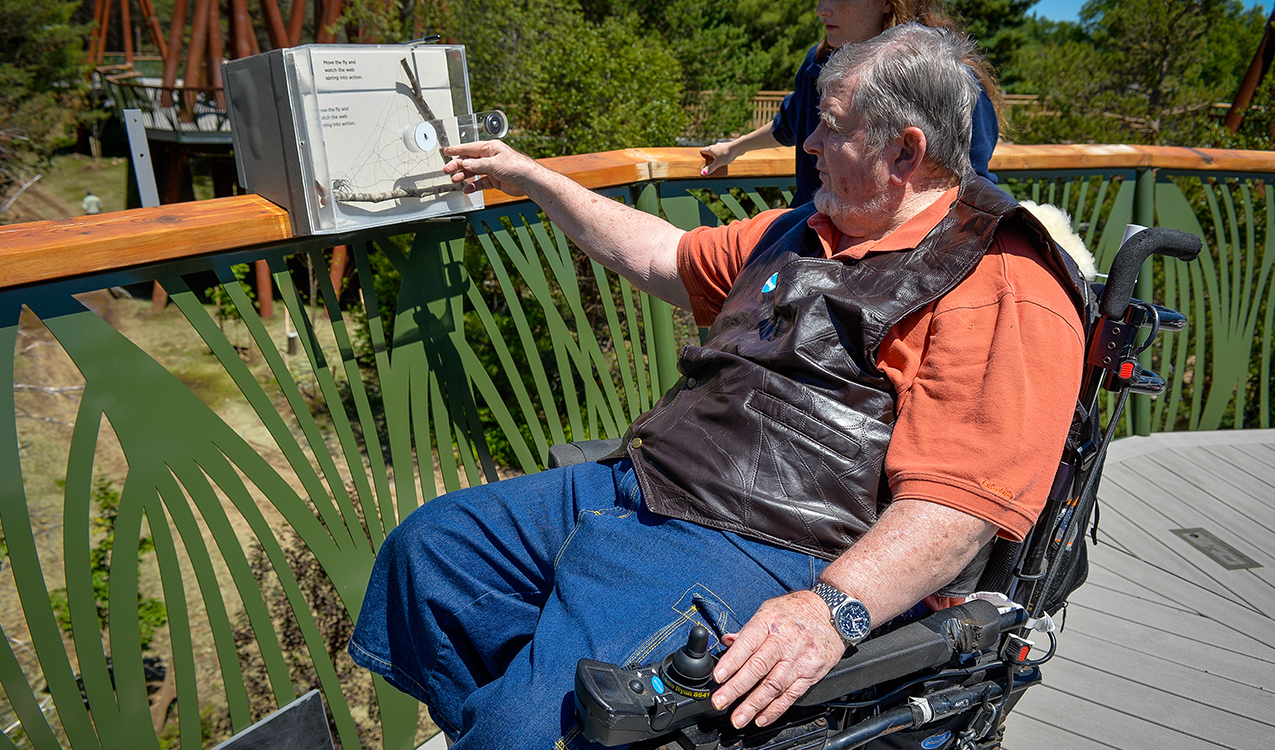 Accessibility on the Wild Walk