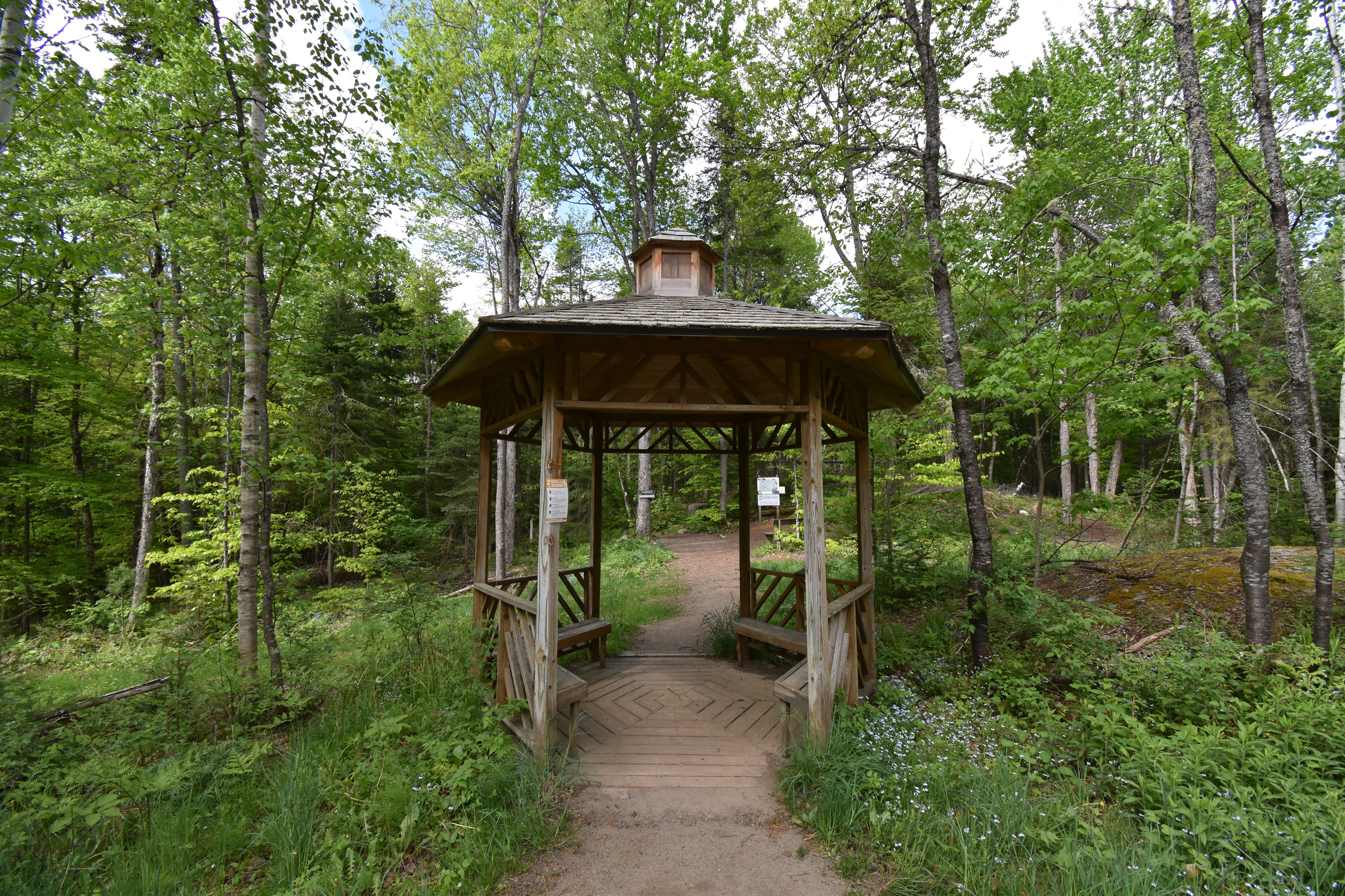 A gazebo surrounded by a green summer forest and blue wildflowers.
