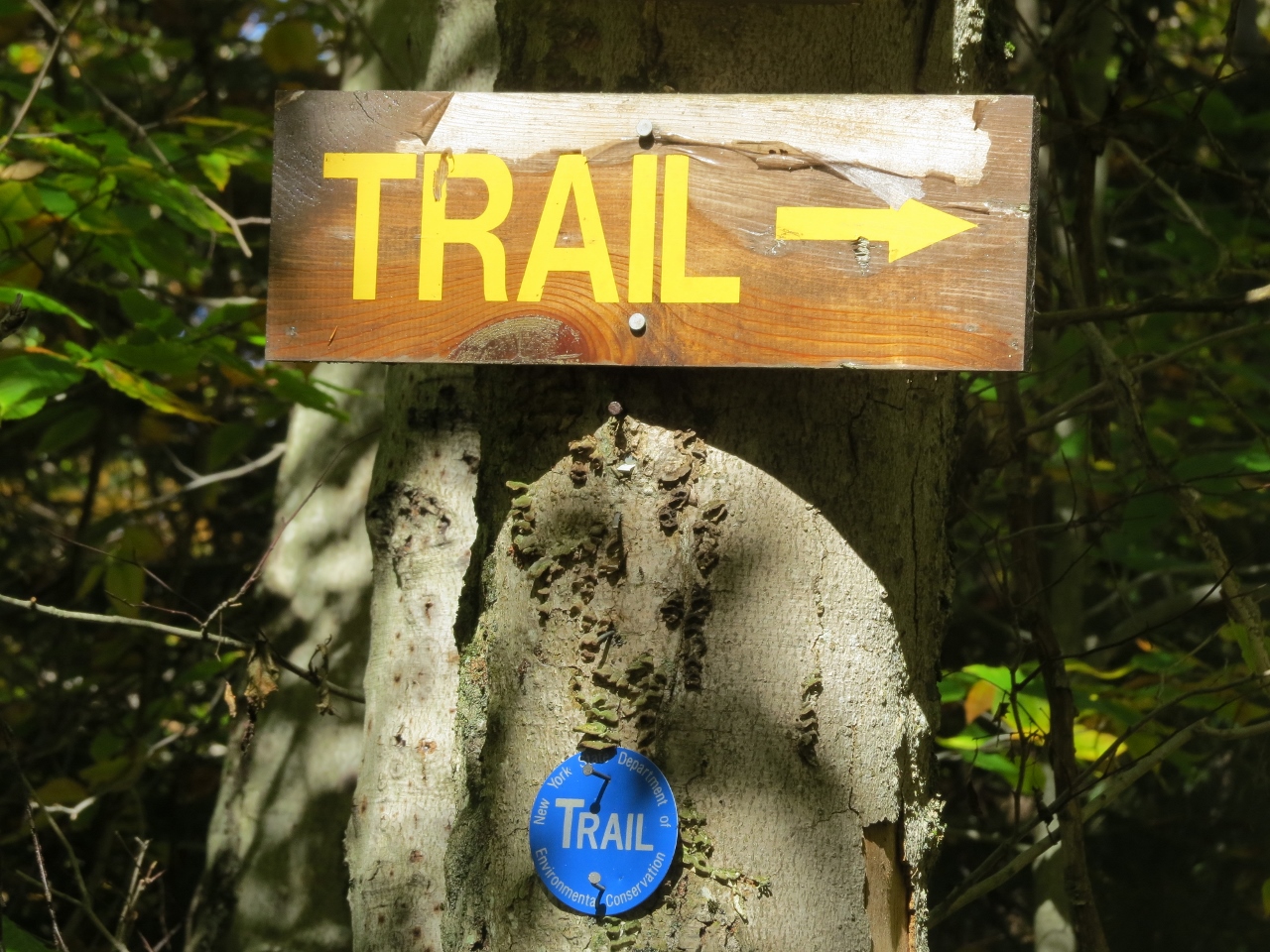 Lake Lila Trail Marker for Frederica Mountain