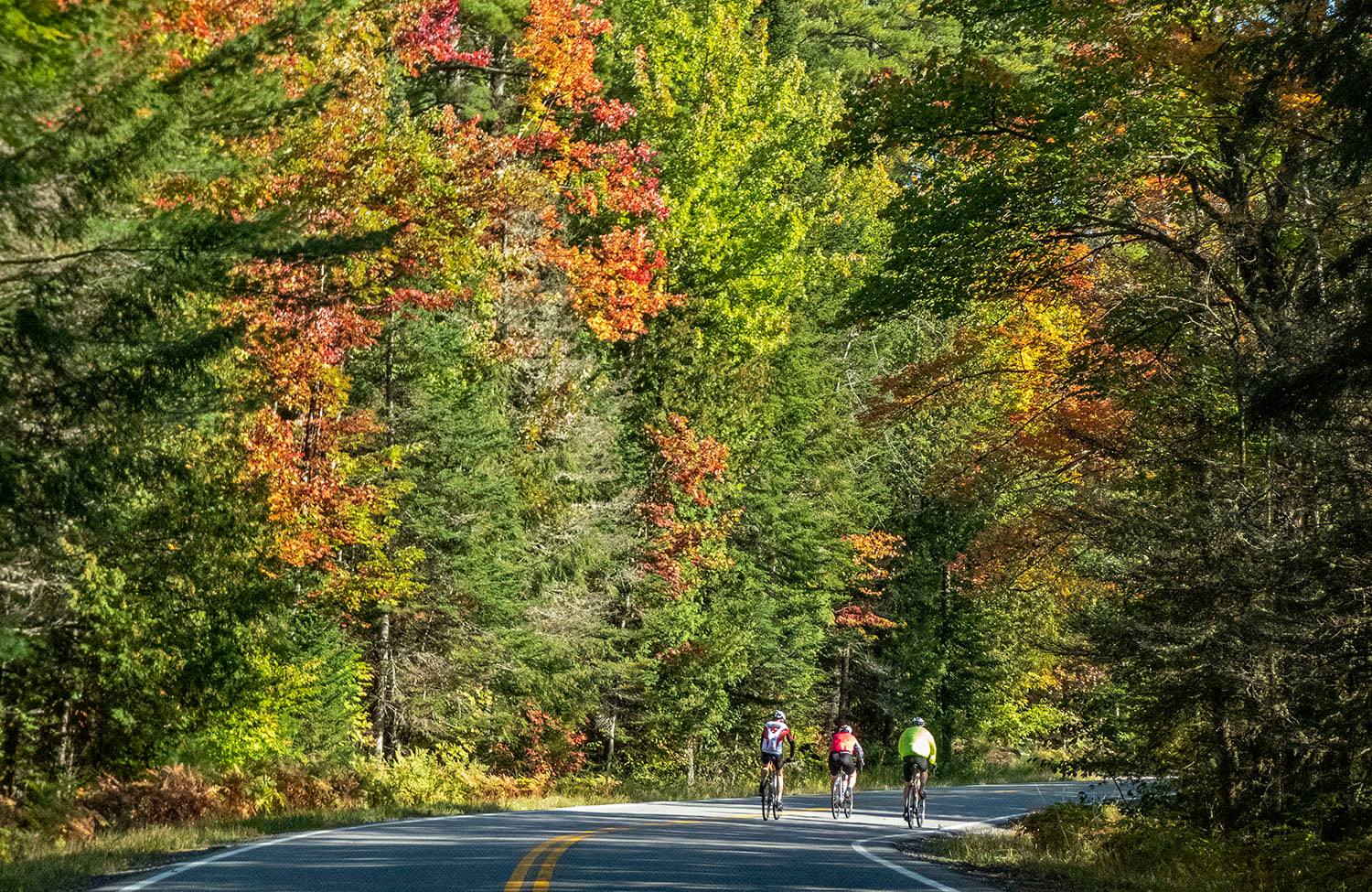 People biking on a road for a fall bike event.