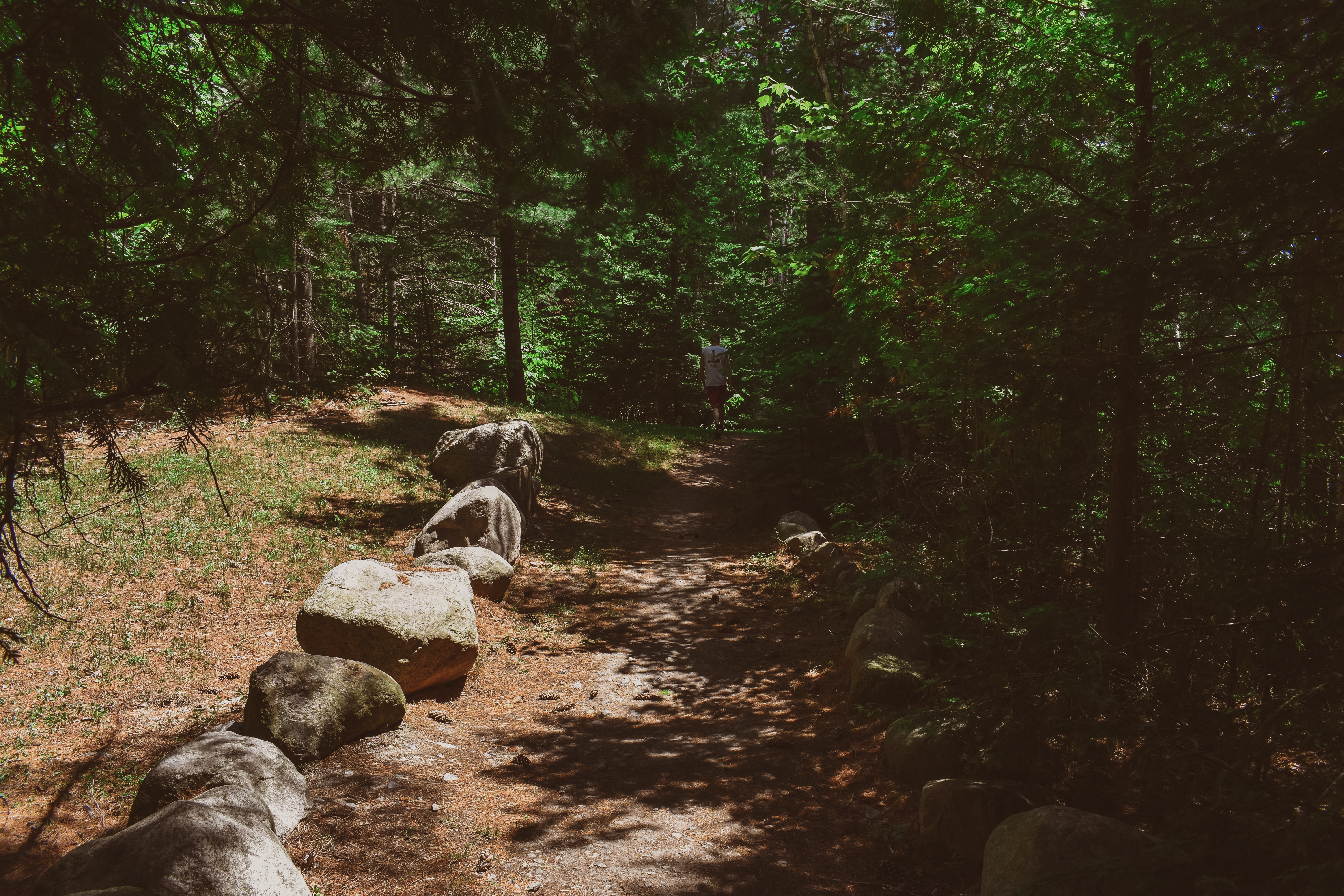 A solo man walks down a gravel path through the woods.